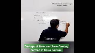 Auxin and Cytokinin Plant harmon Role Biology Botany Neet auxin Cytokinin Tissue culture [upl. by Cullen]