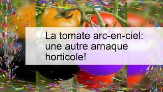 La tomate arcenciel une autre arnaque horticole [upl. by Nowujalo420]