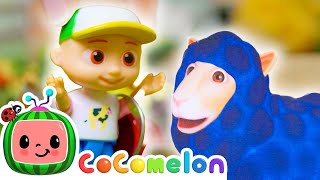 Baa Baa Wooly Black Sheep  🐑🎀  Toy Play Learning  CoComelon Nursery Rhymes amp Kids Songs [upl. by Inesita667]