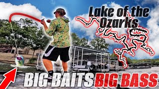 Gambling with BIG Swimbaits to Save My Season Bassmaster Open Lake of the Ozarks  Day 1 [upl. by Ortrude959]