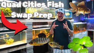 Bringing Fish to the Quad Cities Fish Swap [upl. by Terrence662]