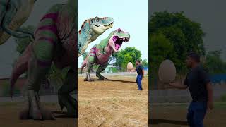 Trex Dinosaur Egg dinosaur dinosaurs jurassicworld [upl. by Mihar]