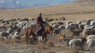 Javkhlan Bi Mongol Hun Mongolian song [upl. by Rossie513]