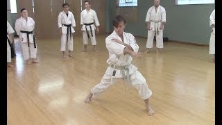 Rick Hotton sensei Minneapolis 2019 [upl. by Darej]