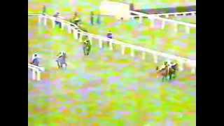 1996  Cheltenham  Mildmay of Flete Handicap Chase  Old Bridge [upl. by Yenots846]