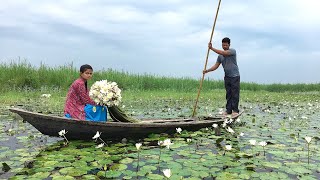 Water Lily recipe  जल कमल के तने से बनाये स्वादिष्ट सब्ज़ी  Water Lily Sabji  Shapla Sabji [upl. by Eciram142]