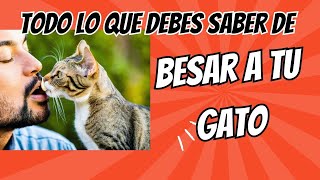 quot¡Cuidado Los peligros de besar a tu gato Descubre los mitos y realidadesquot [upl. by Aun]