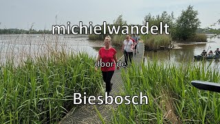 Wandelen in de Biesbosch [upl. by Ardnoyek]