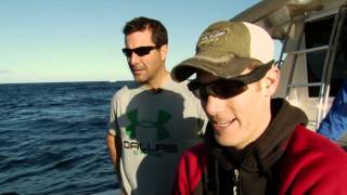 Sportfishing Adventures  Blue Sky Cabo Part One [upl. by Annaohj]