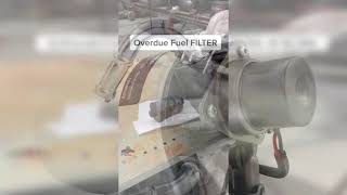 Where is the Fuel Filter Location Signs of Failure and Replacement [upl. by Harday620]