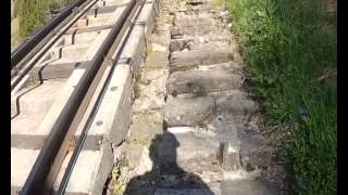 Running up the longest staircase in the world Niesenlauf [upl. by Ordnael910]