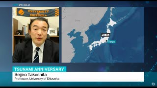 Interview with Seijiro Takeshita from University of Shizuoka on Fukushima disaster [upl. by Carnahan]