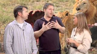 Learning From the Wild with Martin and Chris Kratt [upl. by Rye]