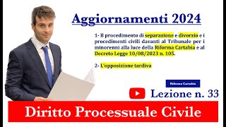 Procedura civile lezione n33 Aggiornamenti 2024 [upl. by Petit]