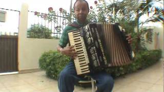 Canto da Araponga Naduzinho do Acordeon [upl. by Sucramed]