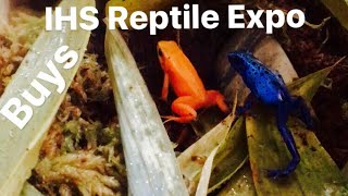 Poison Dart Frogs  Mixed Species from Expo to Tank [upl. by Zipnick]