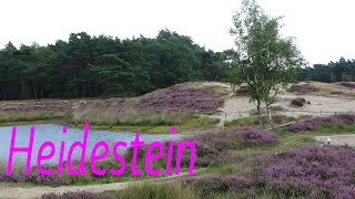 Heidestein Driebergen [upl. by Anderer]