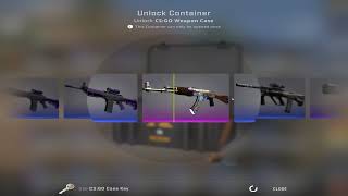 I opened the most expensive case in Counter strike and got this [upl. by Ignacia]