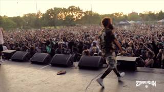 ZOMBiEVision Episode 1 Flatbush Zombies Headline NYC Summerstage 2013 [upl. by Ammadis]