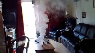 Bug Bomb in Living room [upl. by Heiney769]