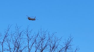 Chinook Helicopter Flyby While Railfanning [upl. by Meri]