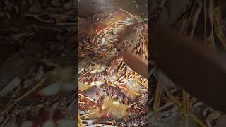 Try This Way of Cooking Lobster Fresh From Adriatic Sea [upl. by Chrisoula]