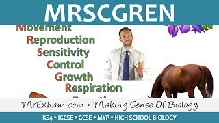 MRSCGREN Characteristics of Living Things  GCSE Biology 91 [upl. by Trev]