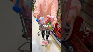 My Sister Buys Whatever FITS into a MINI SHOPPING CART 😱🛍️🛒 Target Shopping Spree [upl. by Grogan]