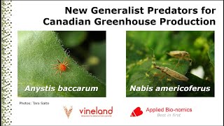 New Biocontrol Agents Generalist Predators for Canadian Greenhouse production [upl. by Pena]