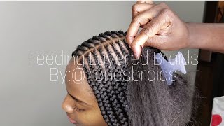 Feed in Braids  Layered Braids  Irenesbraids [upl. by Hayse]