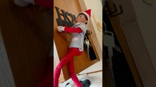 Our elves moved elfontheshelf  merry Christmas [upl. by Gusba]