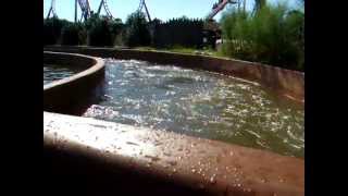 Tasmanian River Rapids water ride at Wild Adventures [upl. by Henderson]