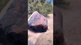 Volcanic Treasure Hunt 🤩 Digging for 49 MILLION YEAR OLD Glass ⛏️✨ shorts obsidian oregon [upl. by Oiraved]