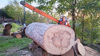 Husqvarna 281xp 2023  first start first cuts muffler mod big wood test and more [upl. by Cyril94]