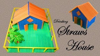 HM Make house with drinking straws  How to make straws house [upl. by Beane]