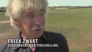 Terschelling Historie en Tourisme [upl. by Amuh]