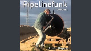 Pipelinefunk Concert Live [upl. by Yeltihw]