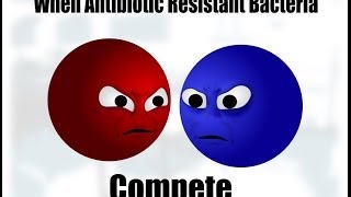 When Antibiotic Resistant Bacteria Compete [upl. by Eeryt323]