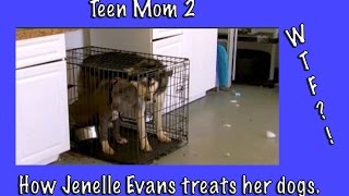 My rant about how Jenelle Evans treated her dog [upl. by Senecal564]