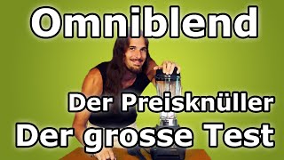 Omniblend V  der günstige Hochleistungsmixer Der grosse Test Die Alternative zum Vitamix [upl. by Ezri]