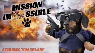 MISSION IMPAWSSIBLE  Funny Wiener Dog Action Movie [upl. by Orola]