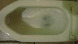 TOTO C40 幼児用大便器 Squat Toilet [upl. by Attenyl]