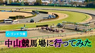 JRA 中山競馬場に行ってきました [upl. by Eyahs]