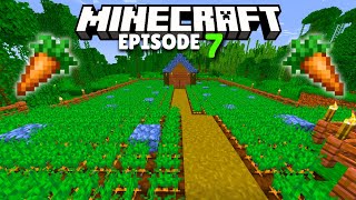 I MADE A BIGGEST CARROT FARM  MINECRAFT  7 [upl. by Thane205]