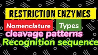 Restriction Enzymes  Types Nomenclature Recognition sequence cleavage pattern [upl. by Colp]