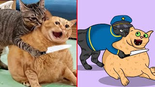 😂Cat Meme When Cats Are Police 🐱 Trending Funny Animals 2024 😹 funny cartoon drawing meme [upl. by Esbenshade64]