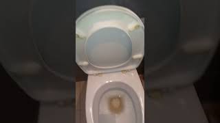 10 Cersanit Wall Hung Toilet at restaurant [upl. by Hillery]