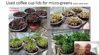 Coffee cup lids used micro greens [upl. by Jankell]