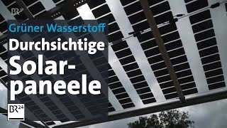 Grüner Wasserstoff durch durchsichtige Solarpaneele über den Haselnussfeldern  BR24 [upl. by Anyak]