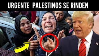 LOS PALESTINOS SE UNEN A ISRAEL  URGENTE [upl. by Nihahs307]